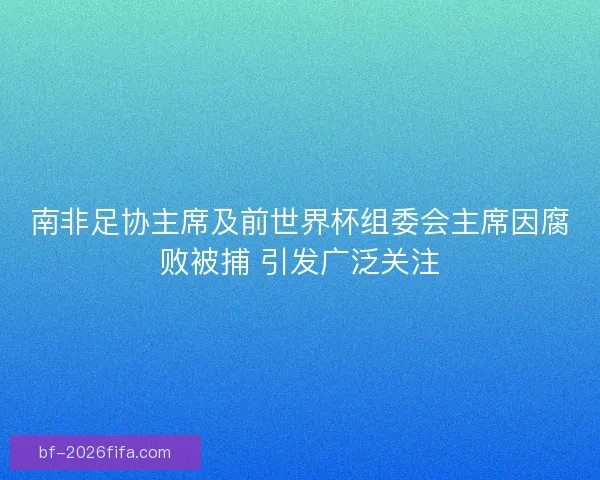 南非足协主席及前世界杯组委会主席因腐败被捕 引发广泛关注